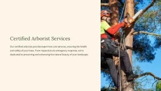 Choose a Professional Arborist for Tree Services