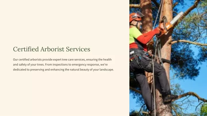 certified arborist services