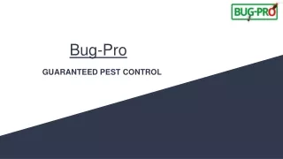 Bug-Pro: Safeguarding Nigerian Homes - Your Trusted Pest Control Partner