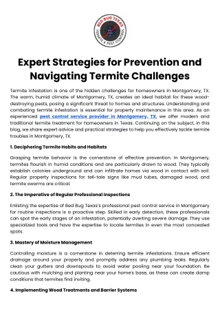 Expert Strategies for Prevention and Navigating Termite Challenges