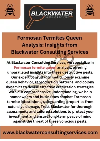 Formosan Termites Queen Analysis Insights from Blackwater Consulting Services