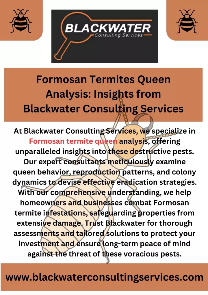 formosan termites queen analysis insights from