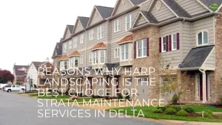 Reasons Why Harp Landscaping Is the Best Choice for Strata Maintenance Services in Delta