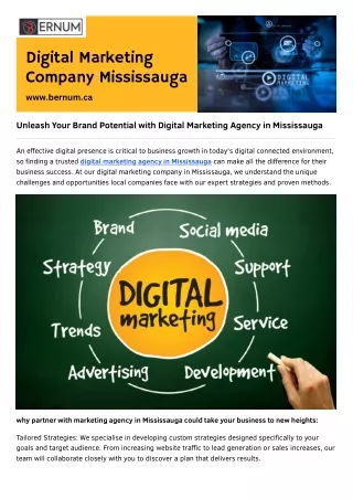 Digital Marketing Company Mississauga