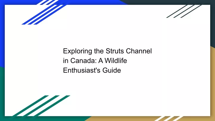 exploring the struts channel in canada a wildlife