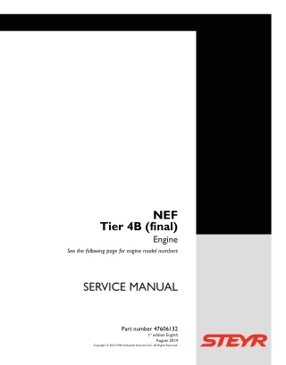 STEYR F4DFE613B Tier 4B (final) Engine Service Repair Manual