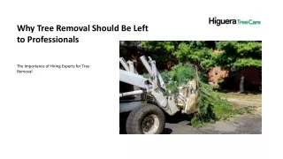Higuera Tree Care: Your Premier Choice for Tree Services in San Diego
