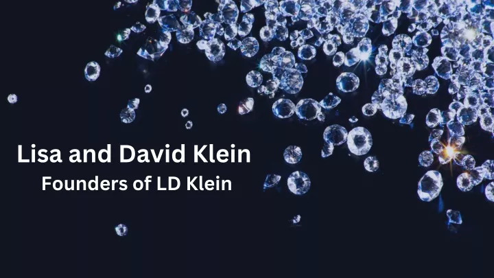 lisa and david klein founders of ld klein