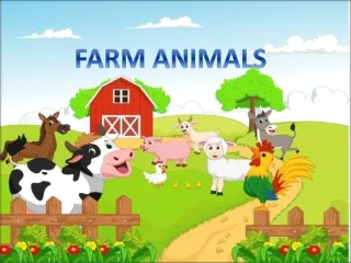 FARM ANIMALS