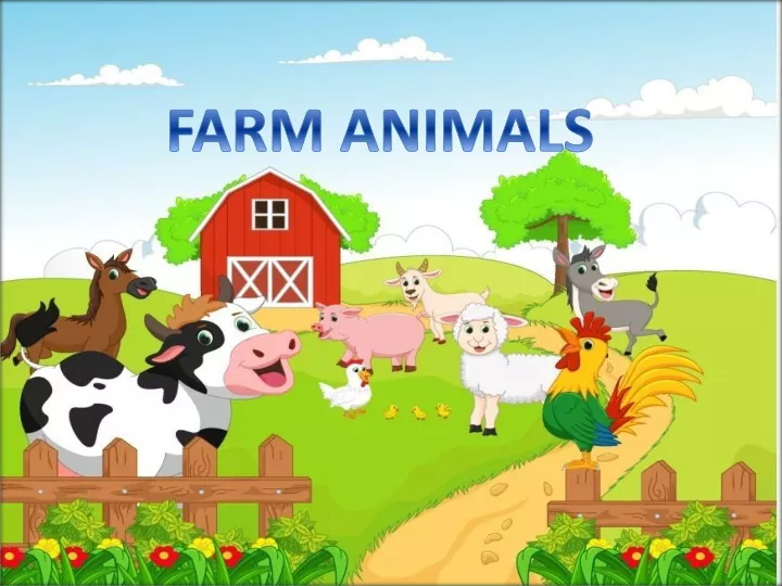 farm animals