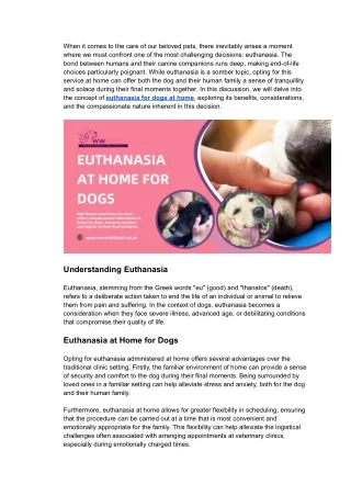 In the Comfort of Home Euthanasia Services for Dogs
