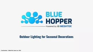Outdoor Lighting for Seasonal Decorations