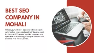 Best SEO Company in Mohali