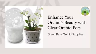 Enhance Your Orchid's Beauty with Clear Orchid Pots