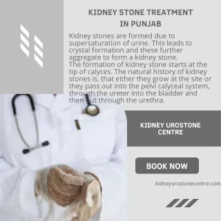 Kidney Stone Treatment in Punjab