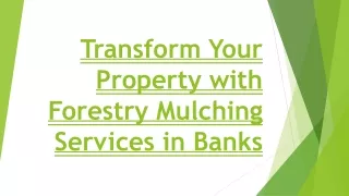 Transform Your Property with Forestry Mulching Services in Banks