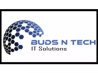 Buds n Tech IT Solutions: Top-Notch Web Services in Noida