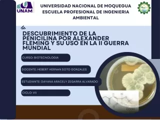 _Descubrimiento de la penicilina y su uso en La II Guerra mundial