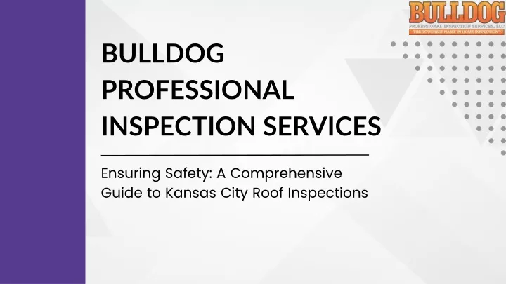 bulldog professional inspection services