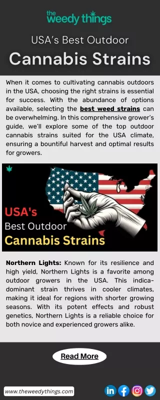 USA’s Best Outdoor Cannabis Strains