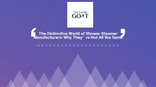 The Distinctive World of Shower Steamer Manufacturers Why They’re Not All the Same