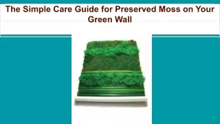 The Simple Care Guide for Preserved Moss on Your Green Wall