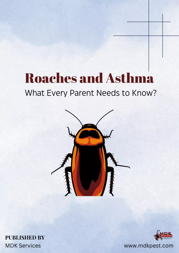 roaches and asthma what every parent needs to know