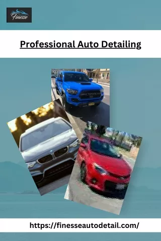 Professional Auto Detailing Services