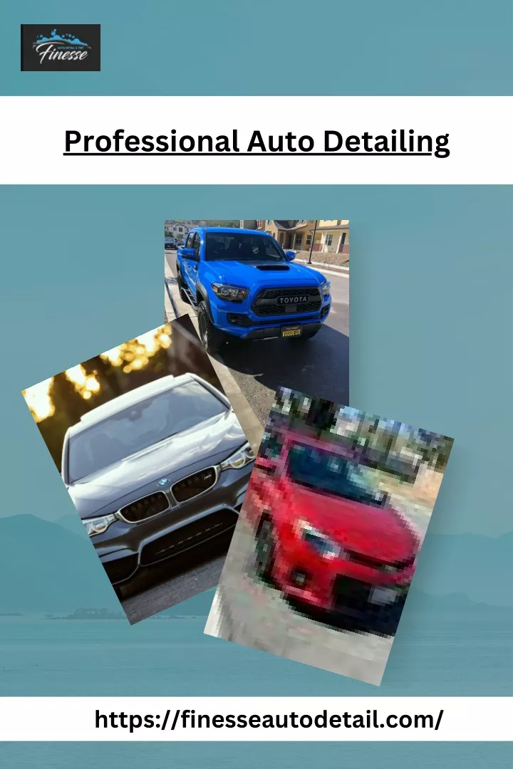 professional auto detailing