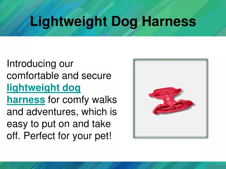 lightweight dog harness