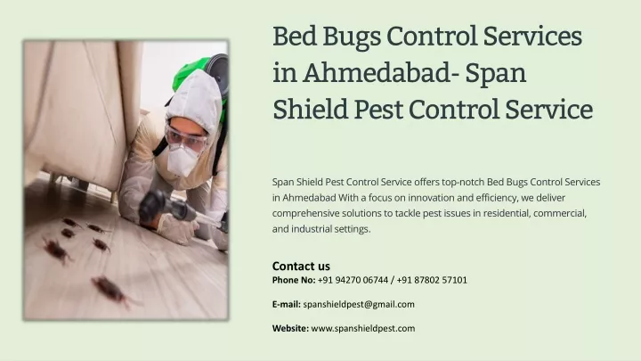 bed bugs control services in ahmedabad span