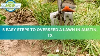 5 EASY STEPS TO OVERSEED A LAWN IN AUSTIN, TX
