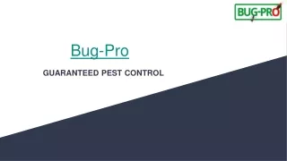 Bug Pro Safeguarding Nigerian Homes. Your Trusted Pest Control Partner