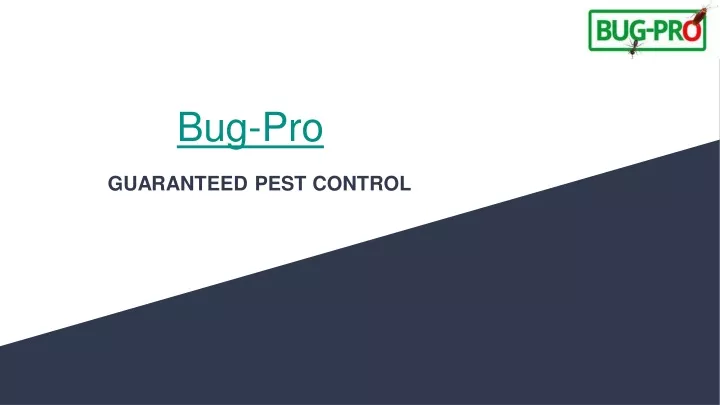 bug pro