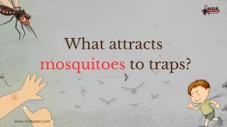 What Attracts Mosquitoes To Traps?