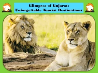 Glimpses of Gujarat Unforgettable Tourist Destinations