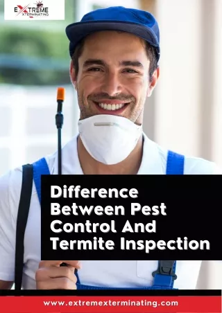 Difference Between Pest Control And Termite Inspection