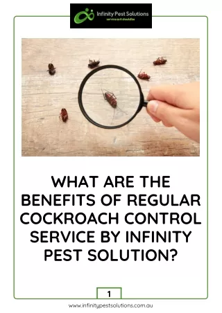 Cockroach Control Service