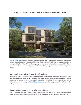 Why You Should Invest in WADI Villas at Meydan Dubai