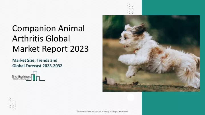 companion animal arthritis global market report