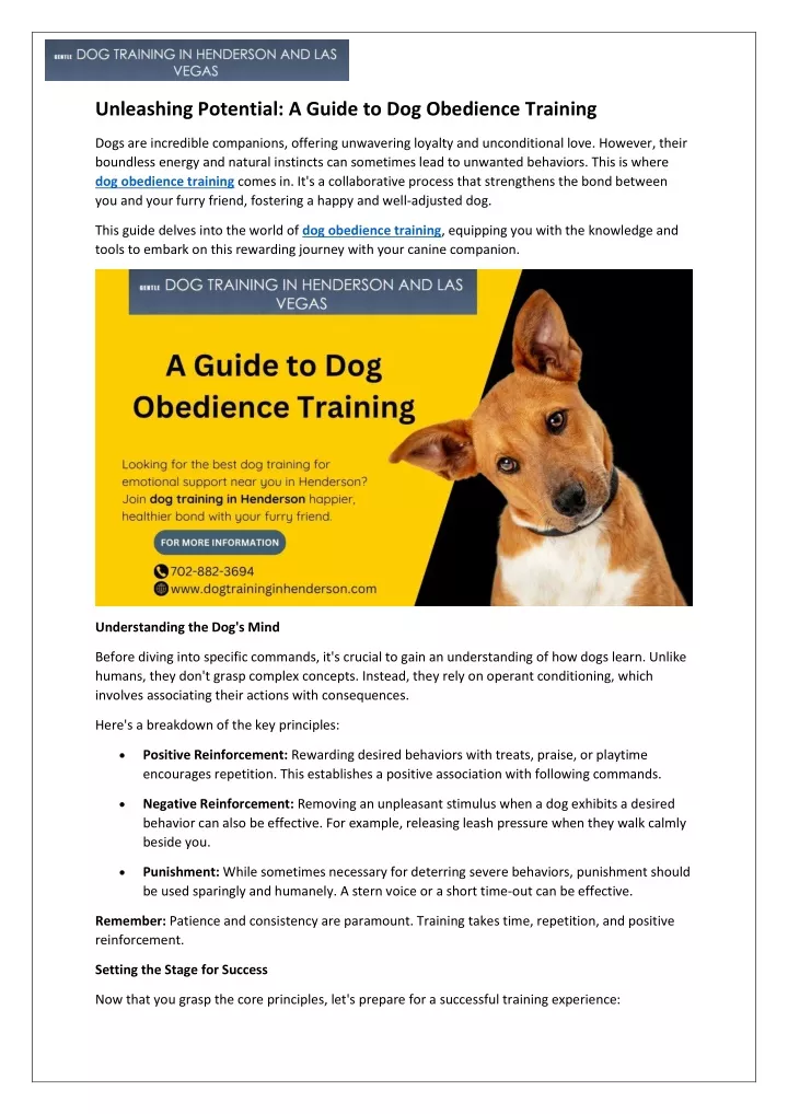 unleashing potential a guide to dog obedience