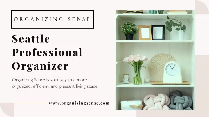 seattle professional organizer