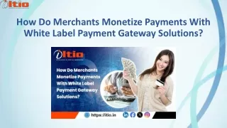 How Do Merchants Monetize Payments With White Label Gateway Solution?