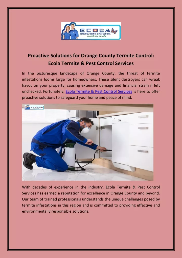 proactive solutions for orange county termite