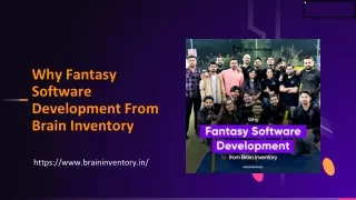 Why Fantasy Software Development From Brain Inventory