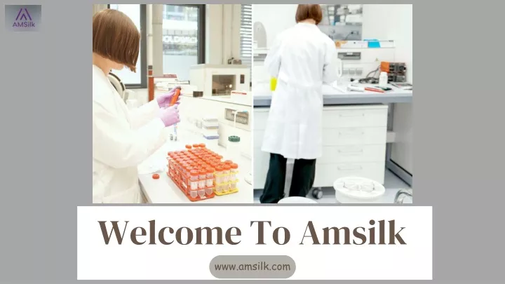 welcome to amsilk