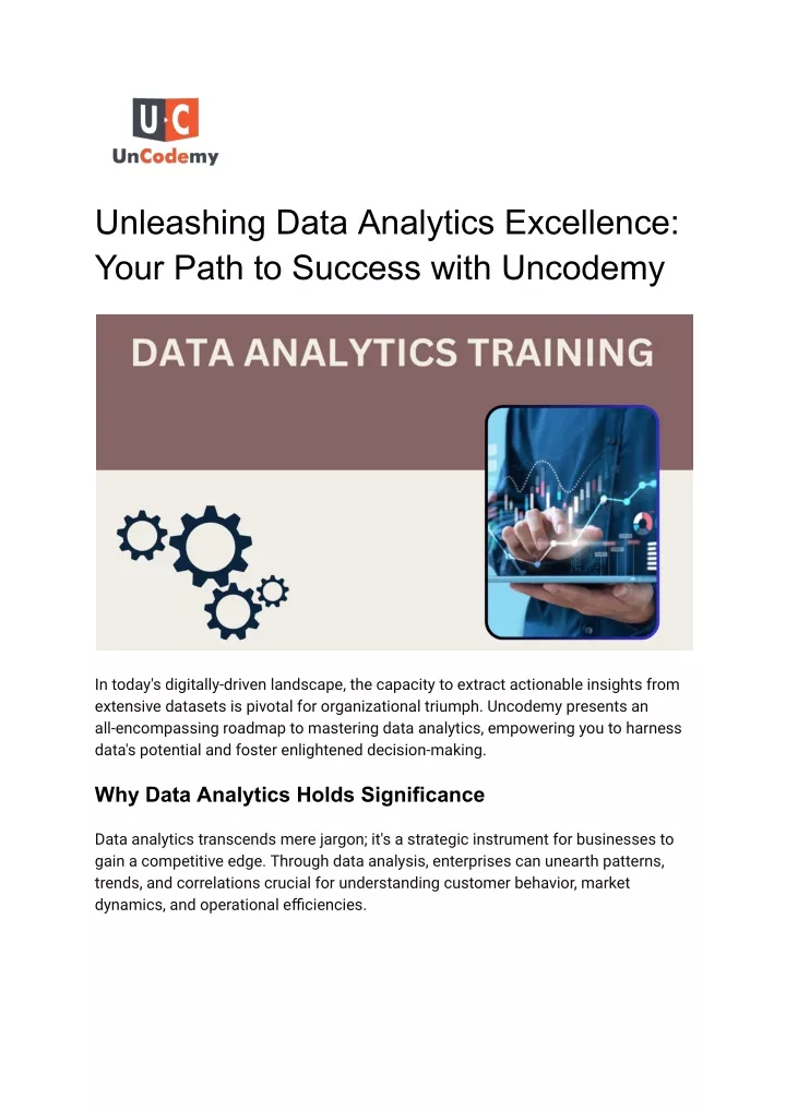 unleashing data analytics excellence your path