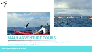 Adventure Activities on Your Maui Trip By Maui Adventure Tours