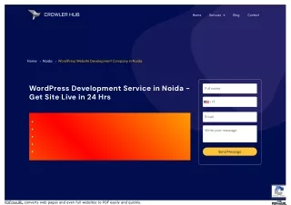 WordPress Website Development Company In Noida| Crowlerhub