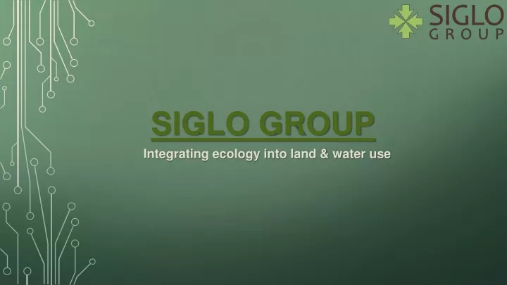 siglo group